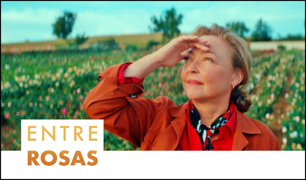 AbouLeila2020estreno