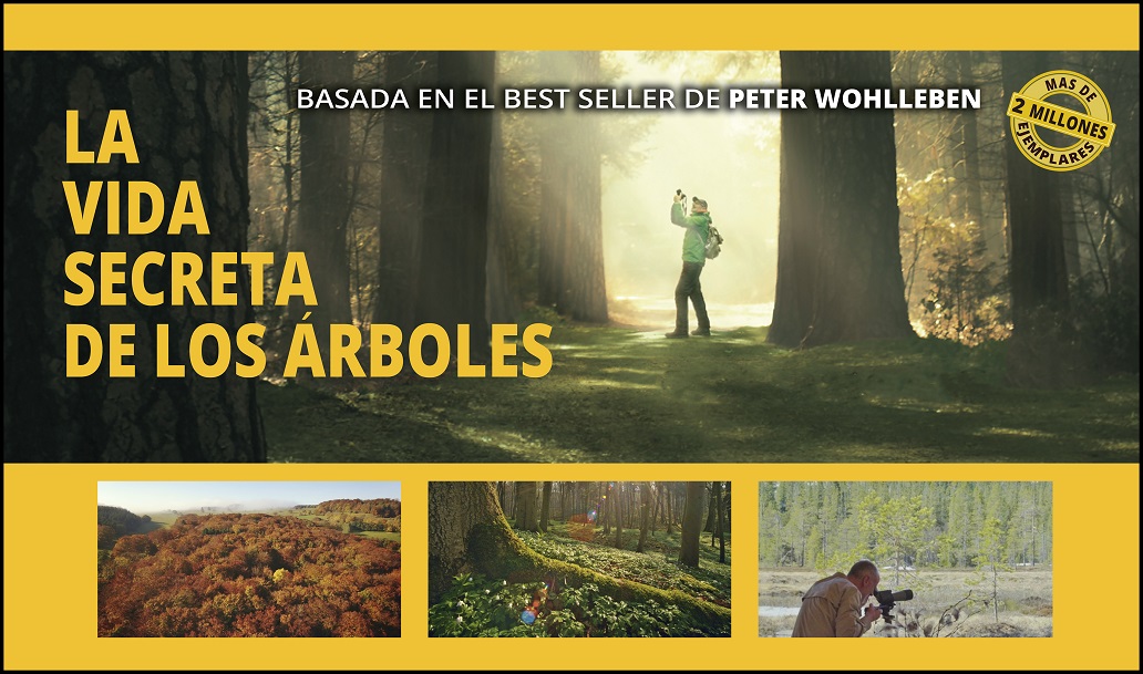 AbouLeila2020estreno