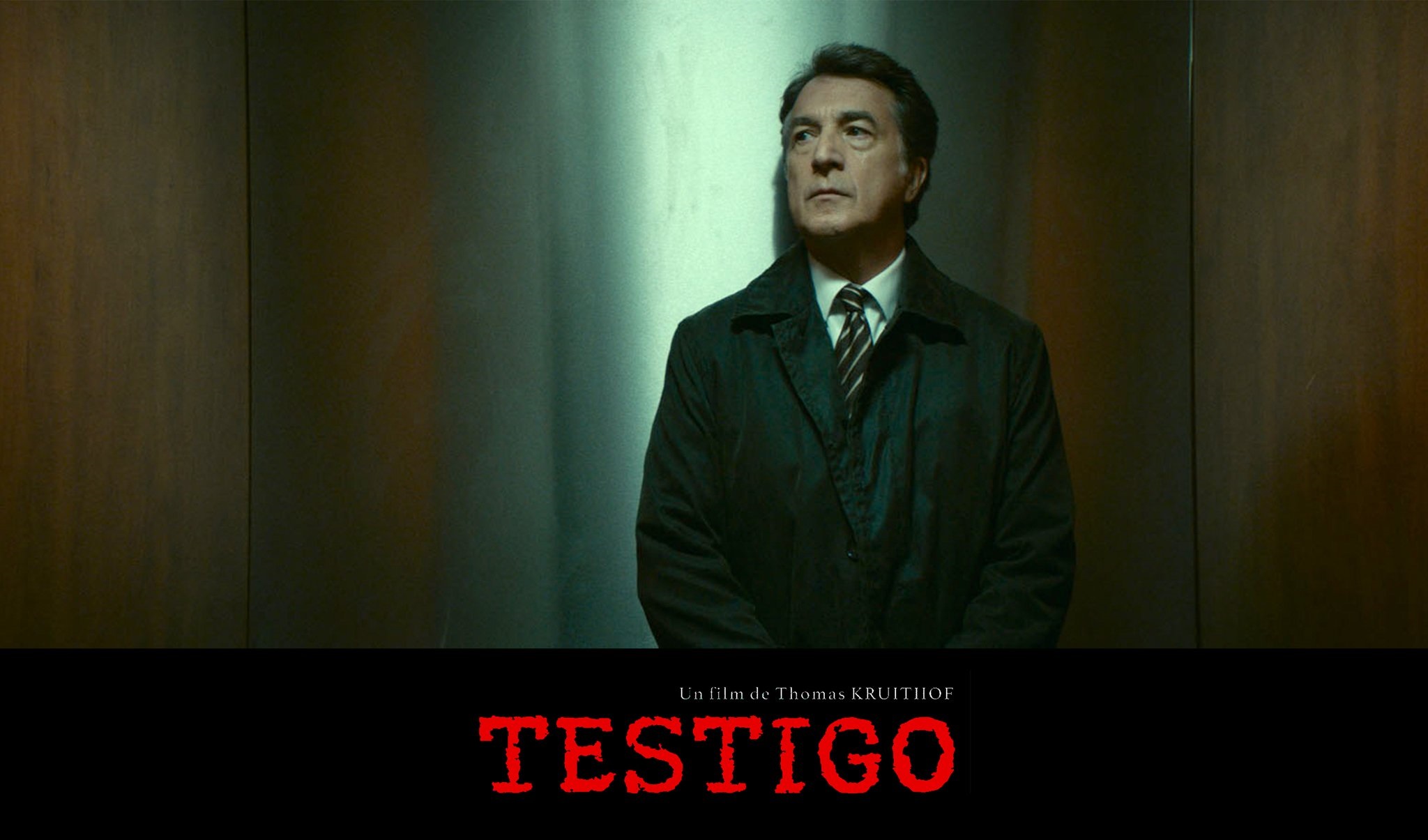 Testigo