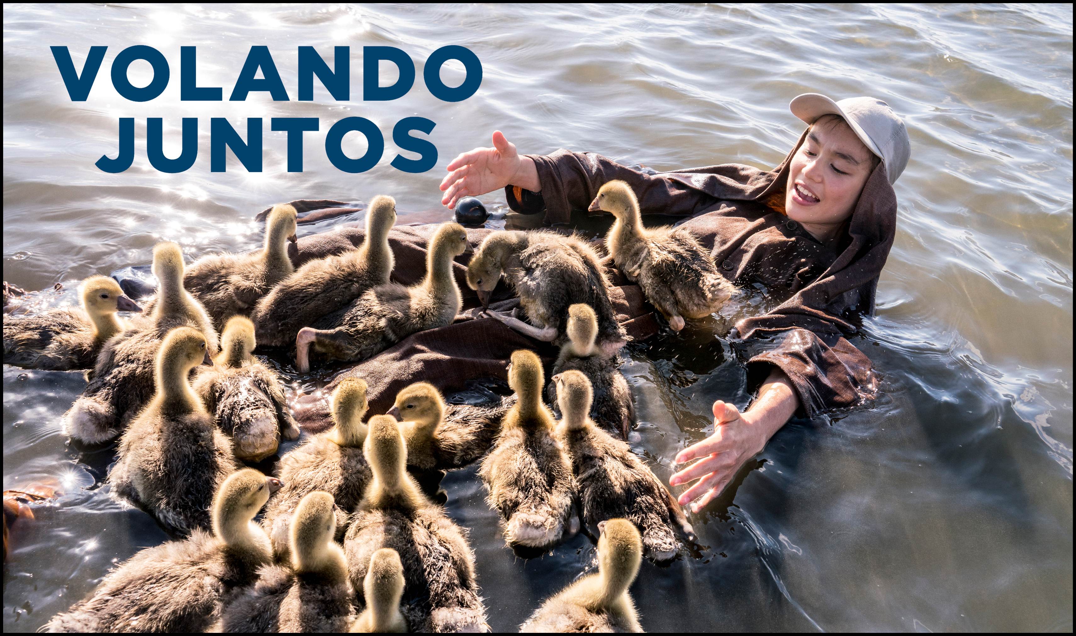 VientoDeLibertad Pequeño