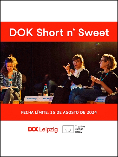 DOKShortnSweet24Interiorb