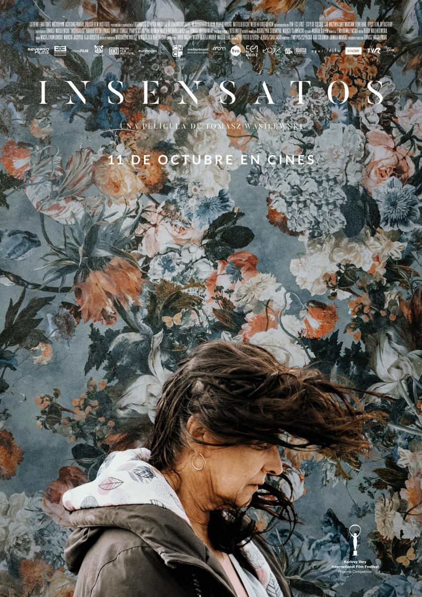 Insensatos poster