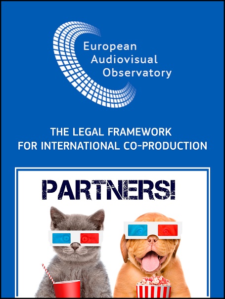 LegalFrameworkInternationalCoProd19Interior