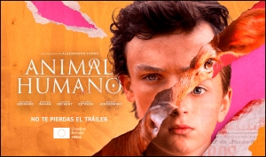 PROYECTOS: No te pierdas el tráiler de ANIMAL/HUMANO (apoyo MEDIA de desarrollo de contenido)