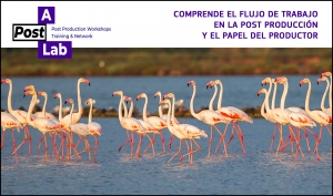 A POST LAB: Formación para la comprensión del flujo de trabajo de post producción