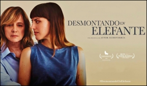DESMONTANDO UN ELEFANTE