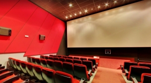REDES DE SALAS CINEMATOGRÁFICAS