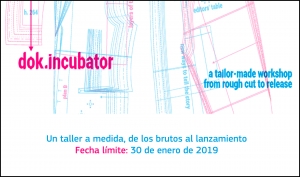 DOK.INCUBATOR: Taller a medida para documentales de creación en etapa preliminar